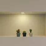 Mondrian L Bb * Trieste